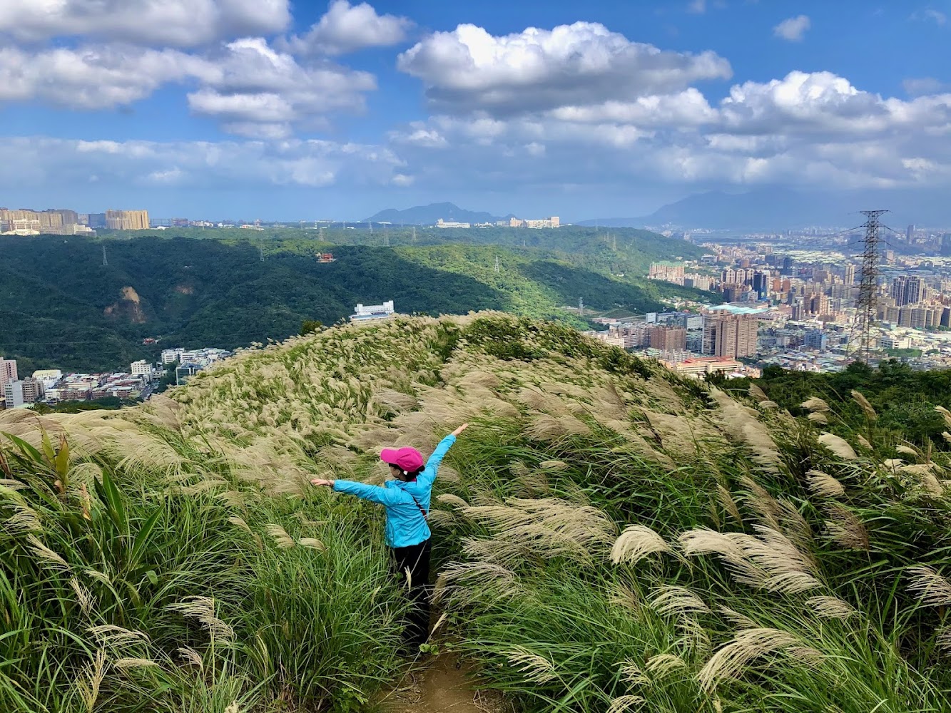 三角埔頂山山徑與芒草景觀