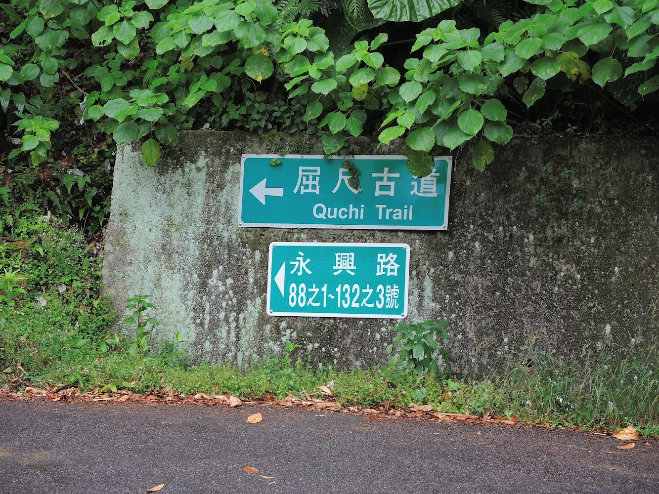 屈尺古道指示牌與青苔牆面