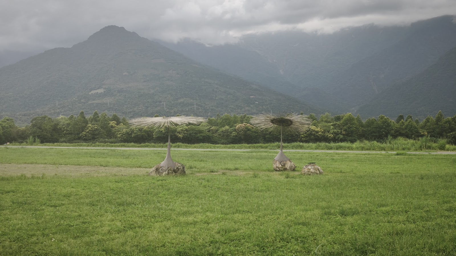 大農大富平地森林自行車道,騎單車穿越林間,花蓮生態旅遊