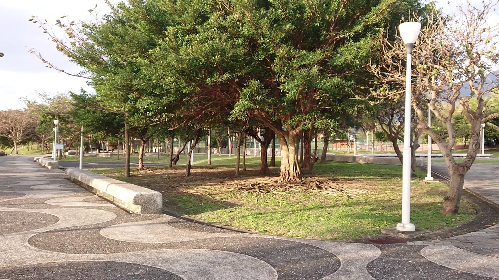 成功鎮海濱公園步道綠蔭