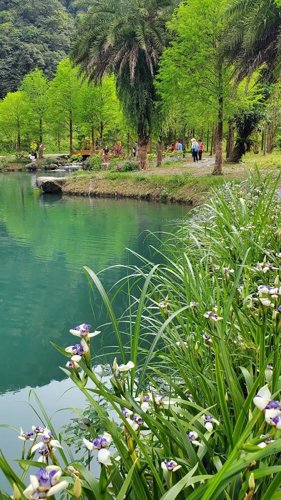 三層坪綠意與池畔步道風景
