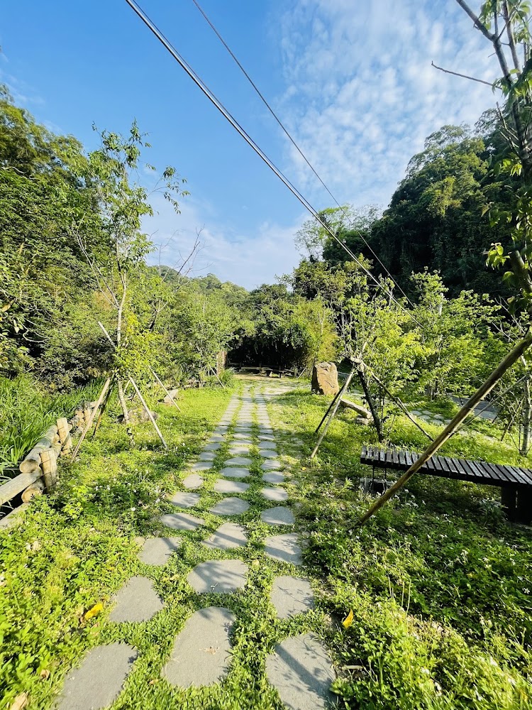 綠意小徑與木欄杆
