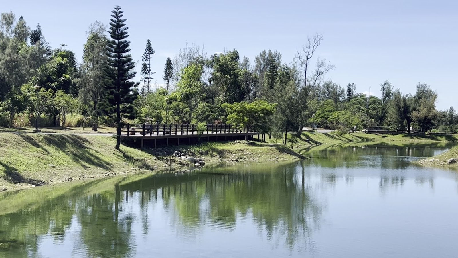 琵琶湖全景木橋台東森林公園湖面倒映