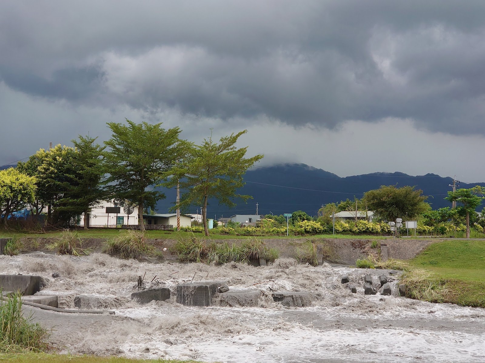 安農溪流蘇樹河岸美景，宜蘭三星鄉景點
