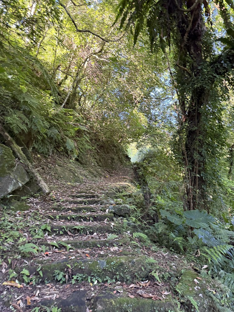 淡蘭古道南路石階步道