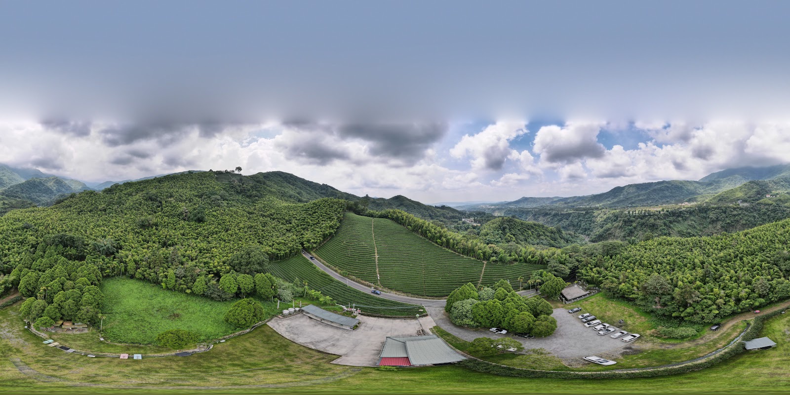 鳥瞰南投鹿谷山區茶園全景連片茶行