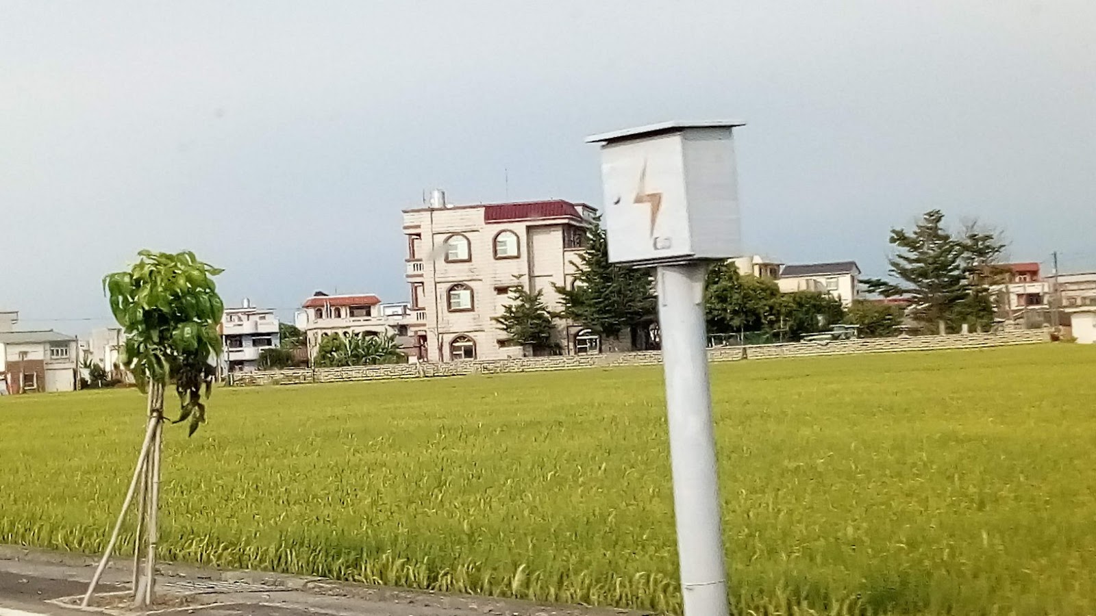 台南柳營農村稻田田野景色