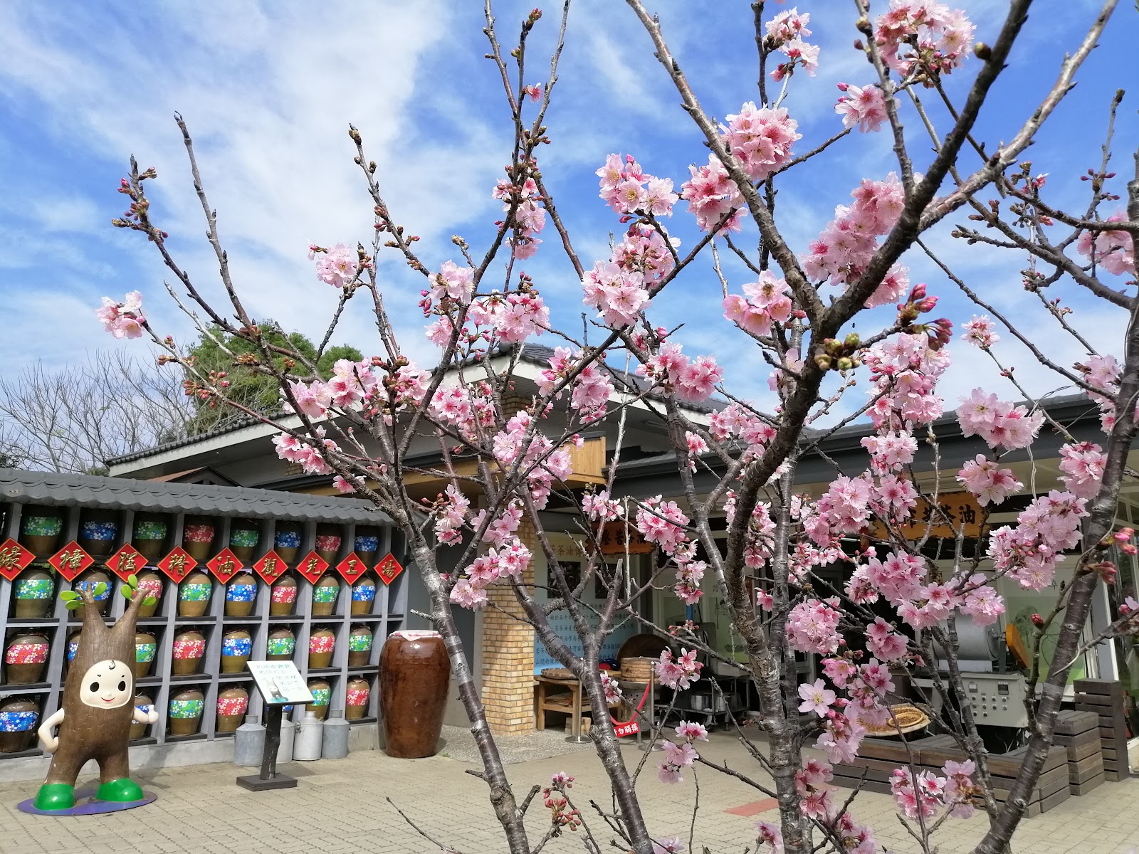 台灣油礦陳列館春日花開景象,石油小子吉祥物與彩繪油桶牆