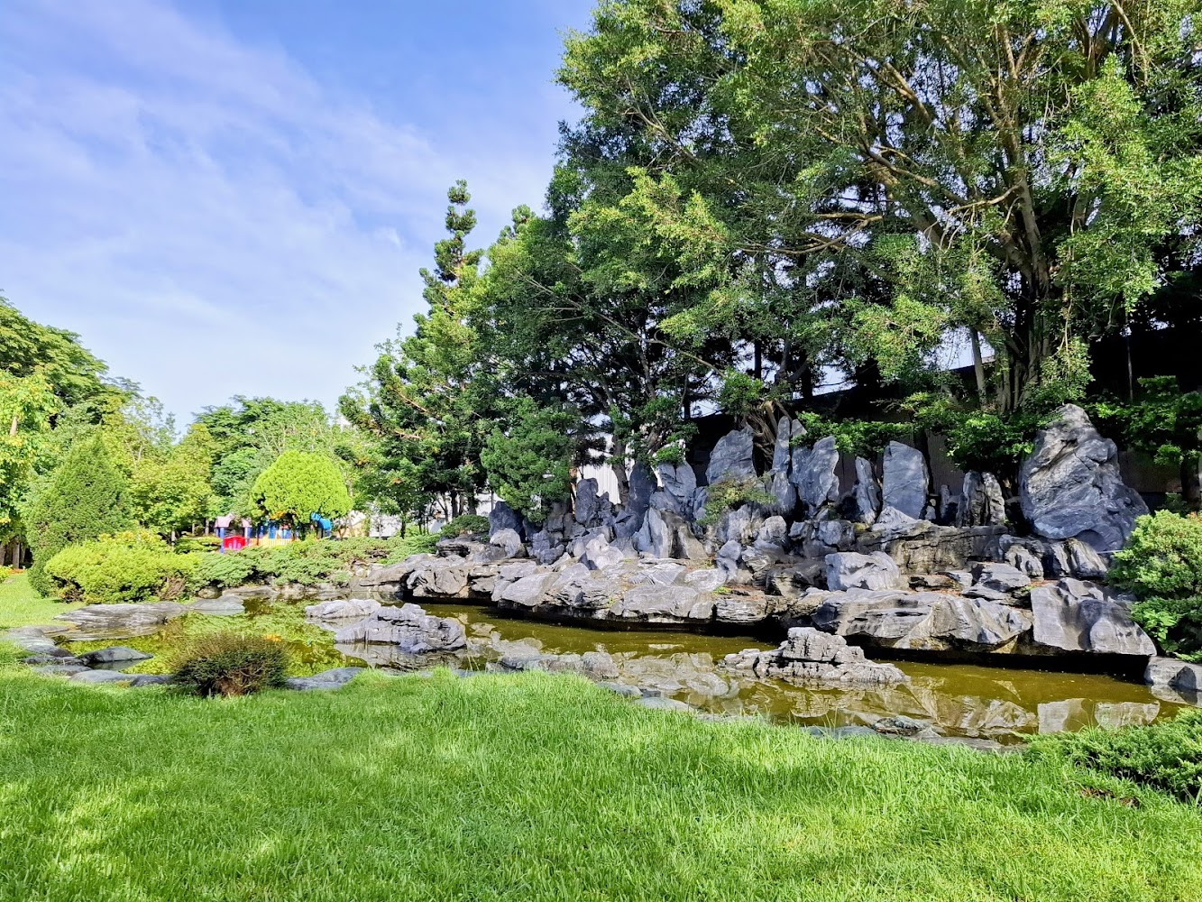 公園草地樹木與池塘景觀