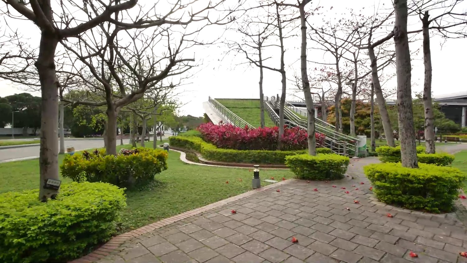 花博公園新生園區步道與綠意景觀