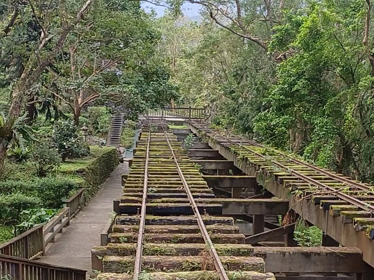 林田山高架鐵道橋俯瞰苔蘚枕木鐵軌花蓮景點