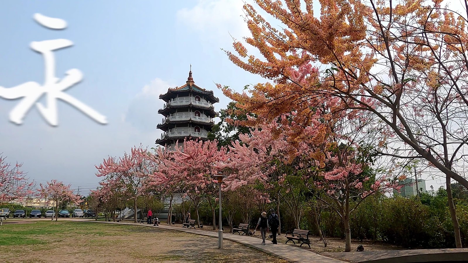 二水花旗木鐵道舊鐵路路面