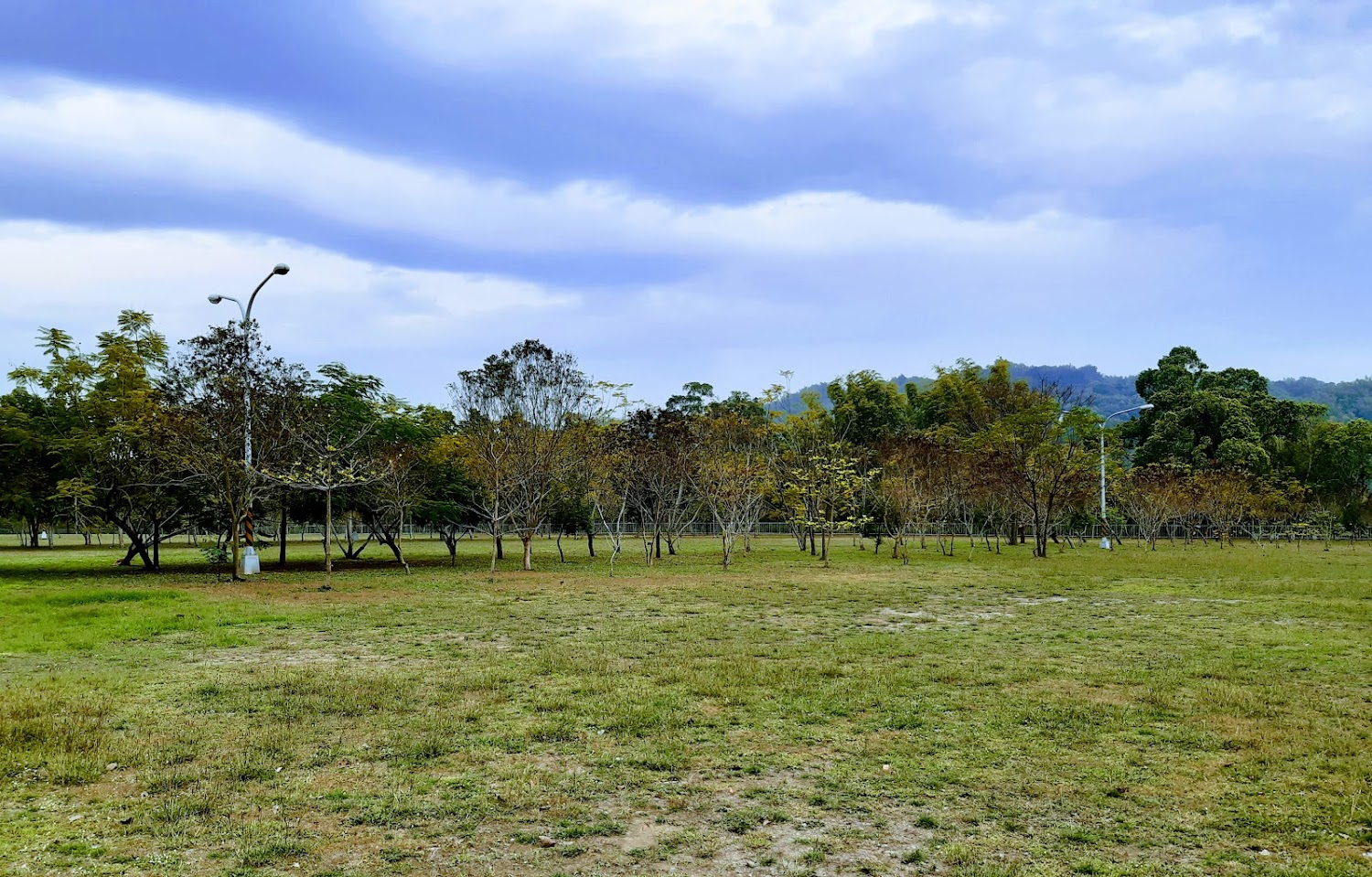 草屯植物公園大片草地