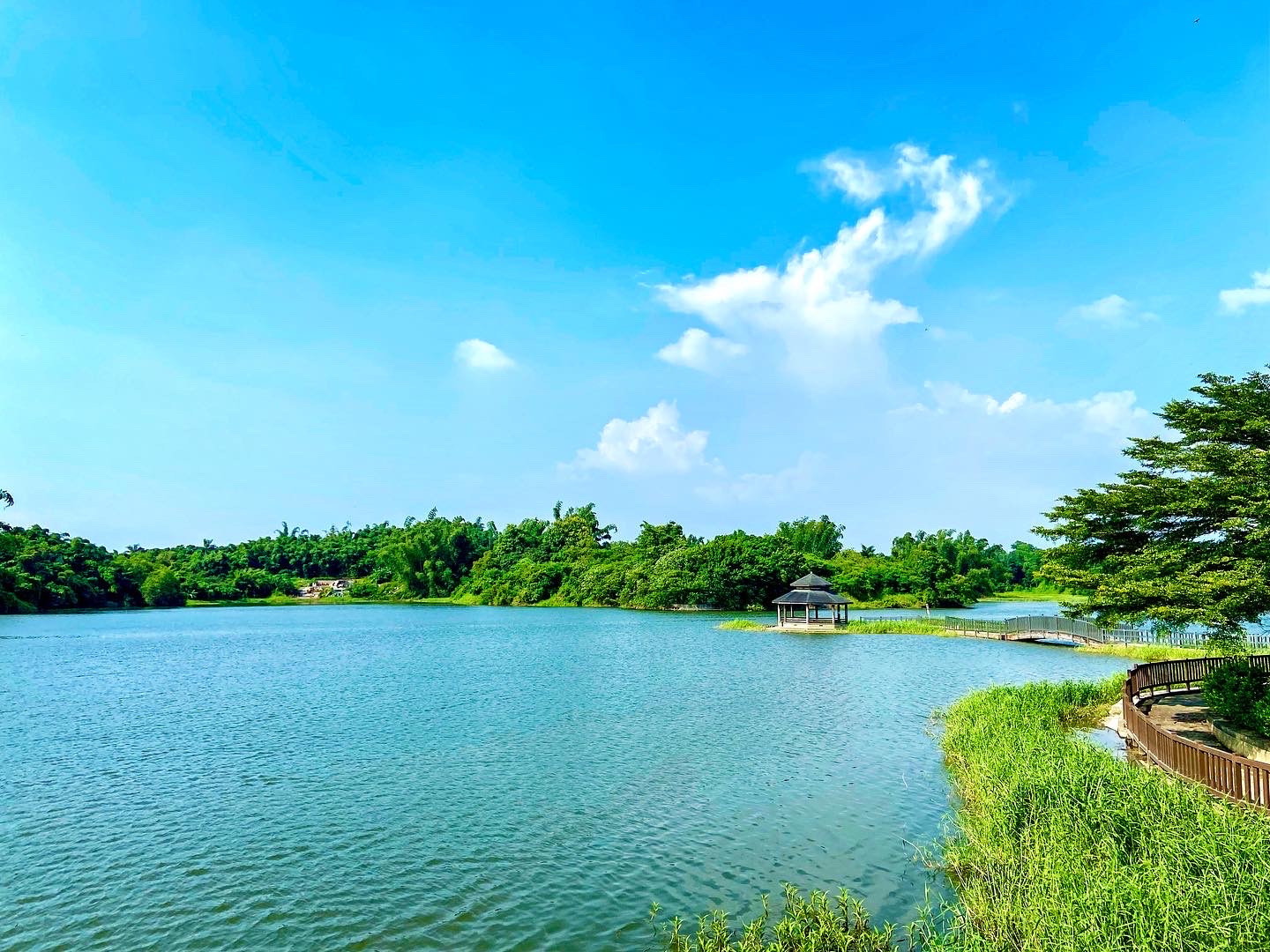 台南關廟大潭埤旺萊公園湖景,木棧道環湖涼亭倒映水中,藍天碧水如詩如畫