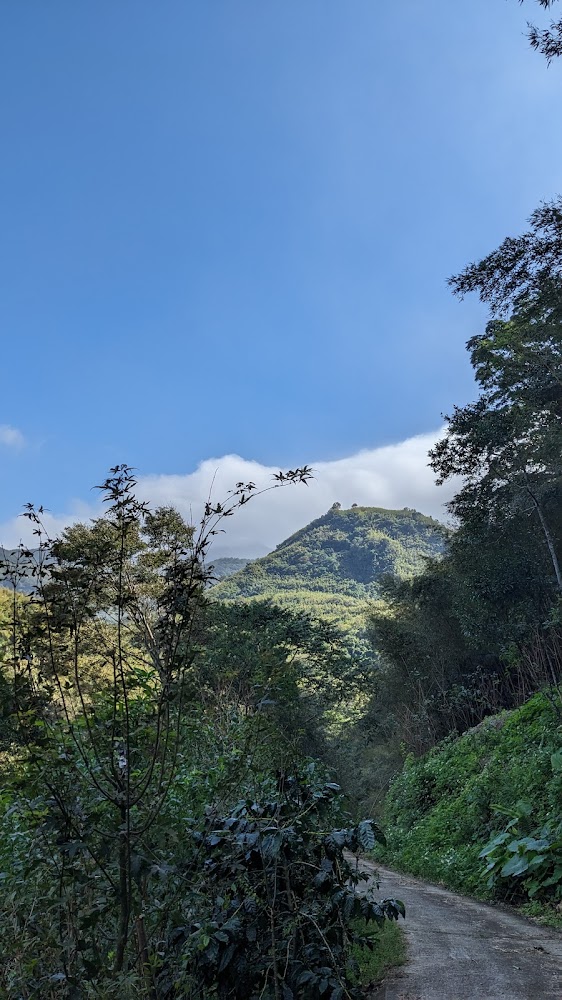 通往營地周邊的山路與綠色山丘