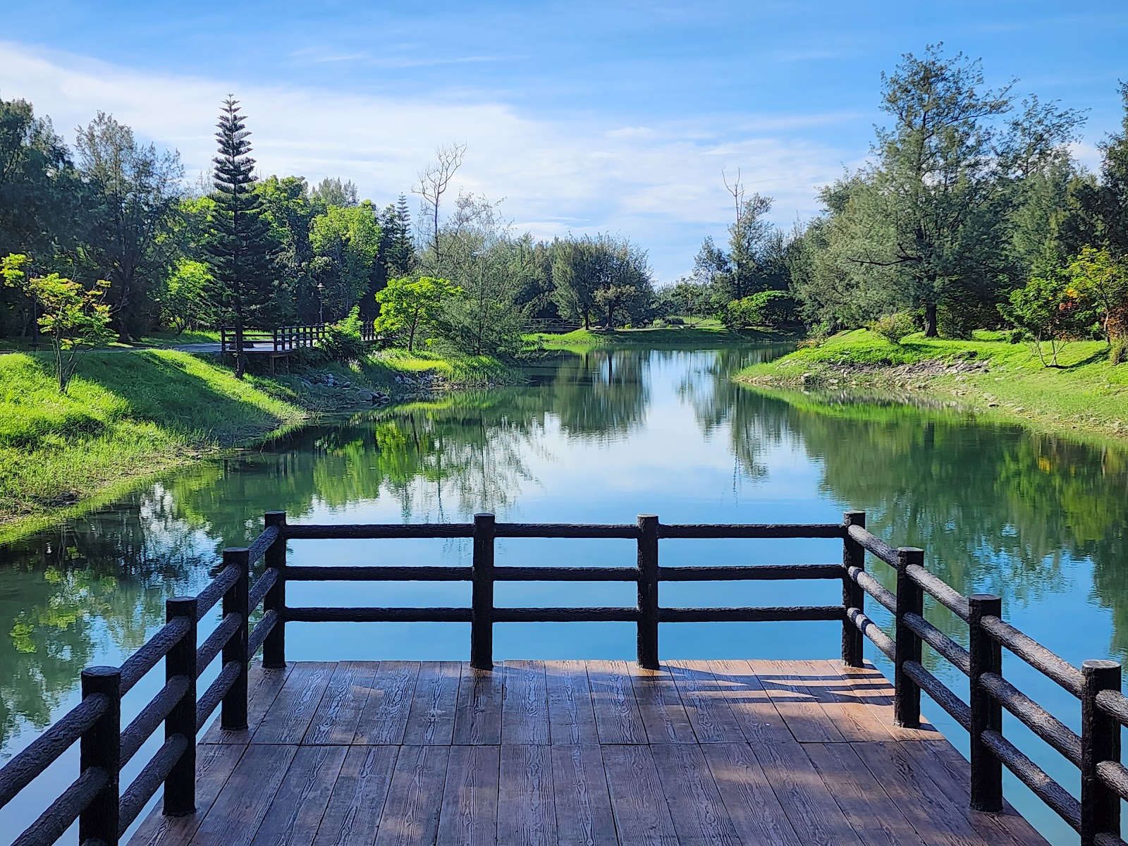 琵琶湖木製觀景棧道台東森林公園湖景