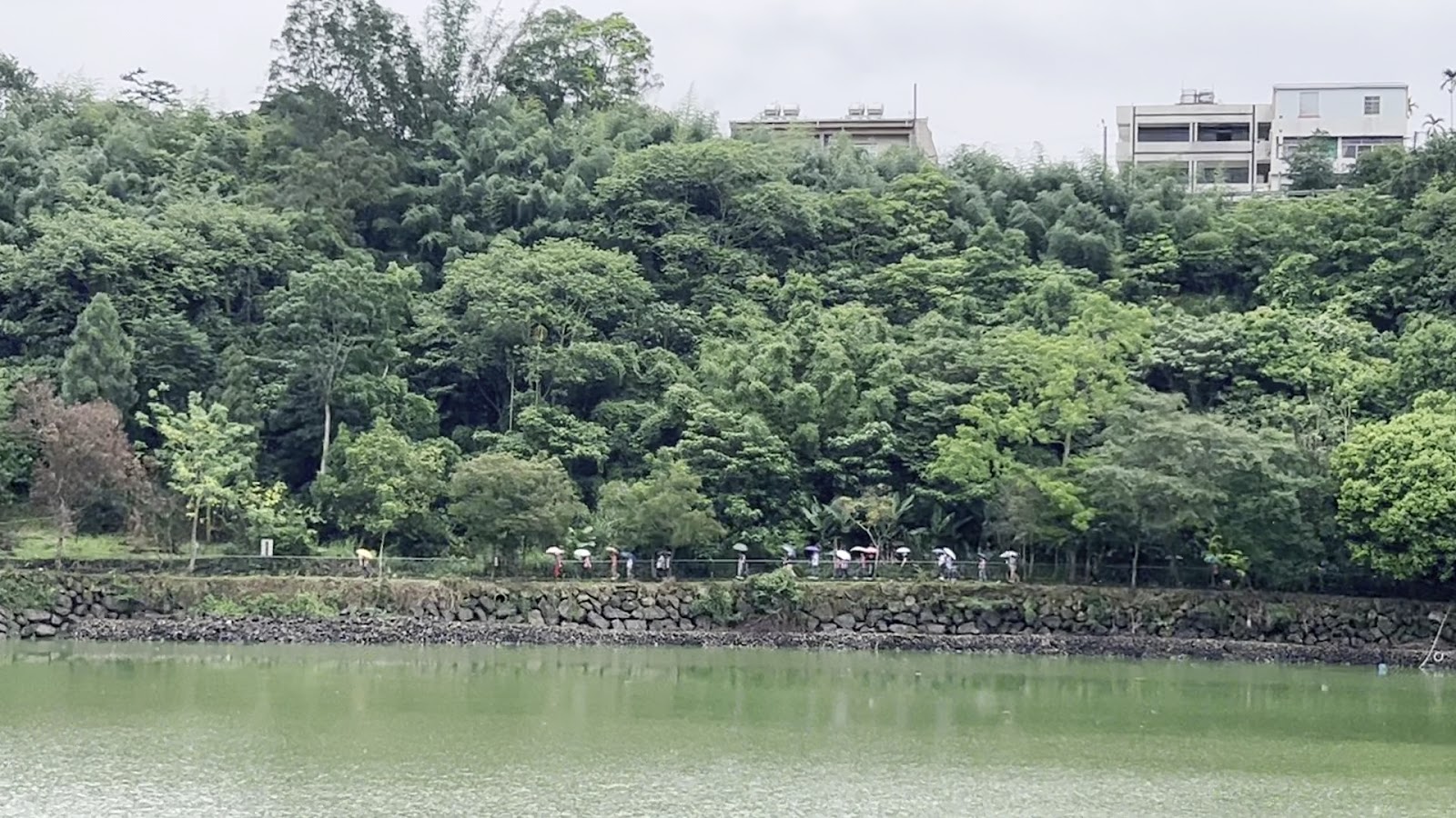 南投鹿谷麒麟潭環湖步道雨天石砌護岸竹林