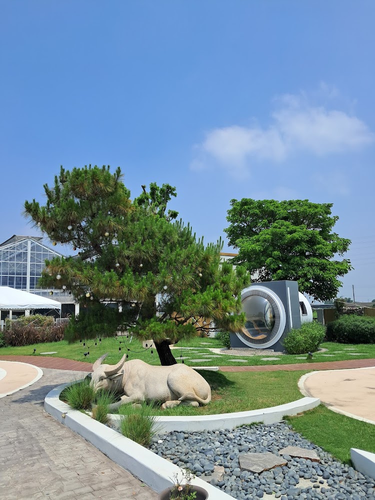 土庫驛可可莊園園區草地牛雕像與溫室建築