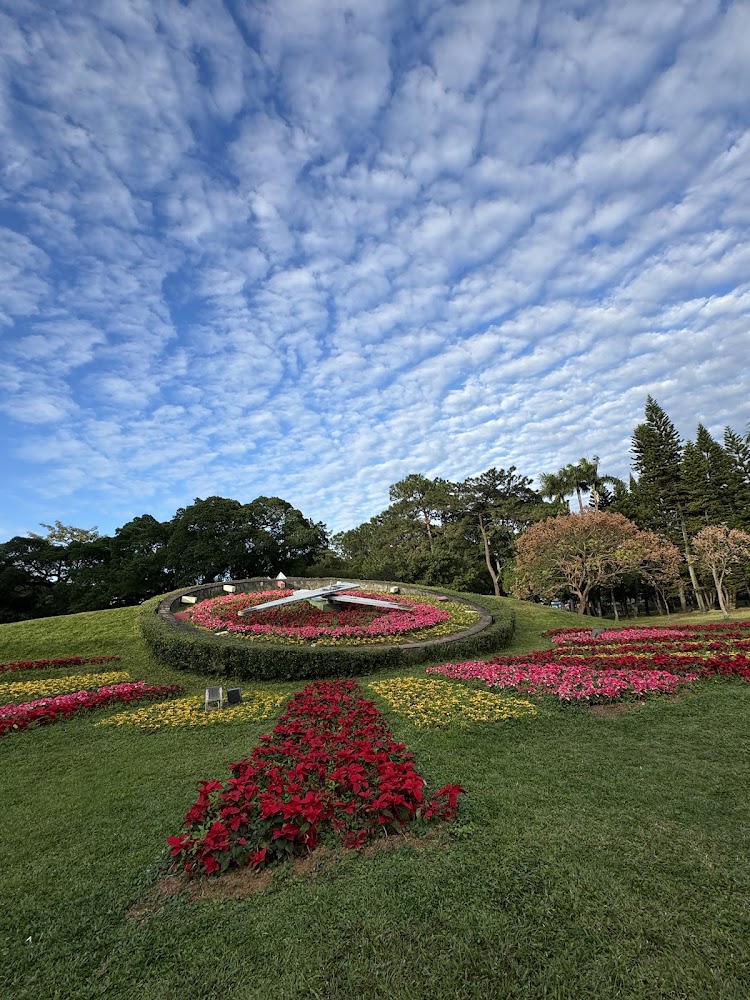 青年公園花鐘與藍天景觀