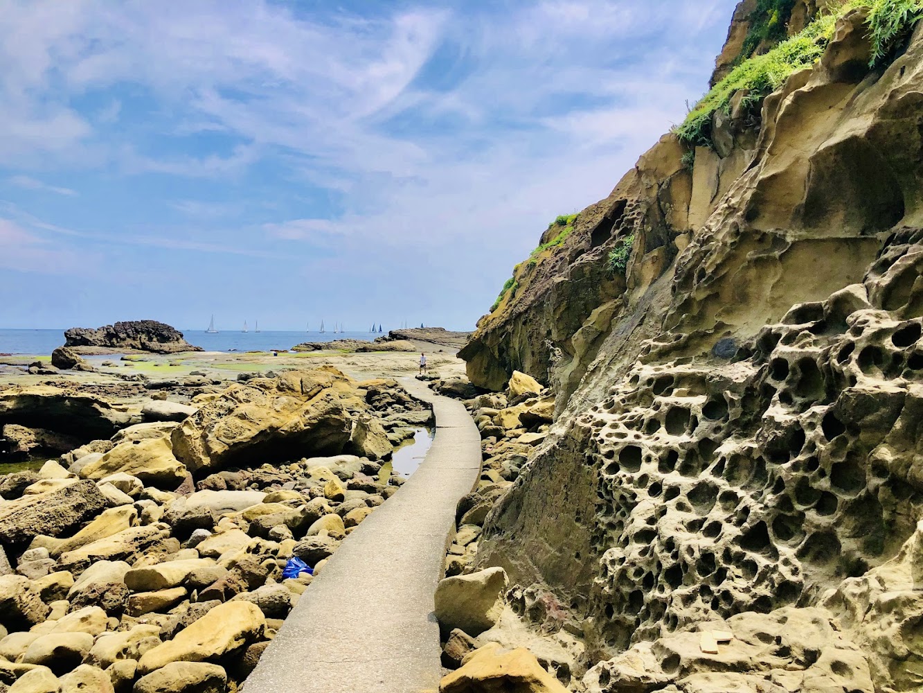 八斗子海岸祕境蜂窩岩與海岸步道