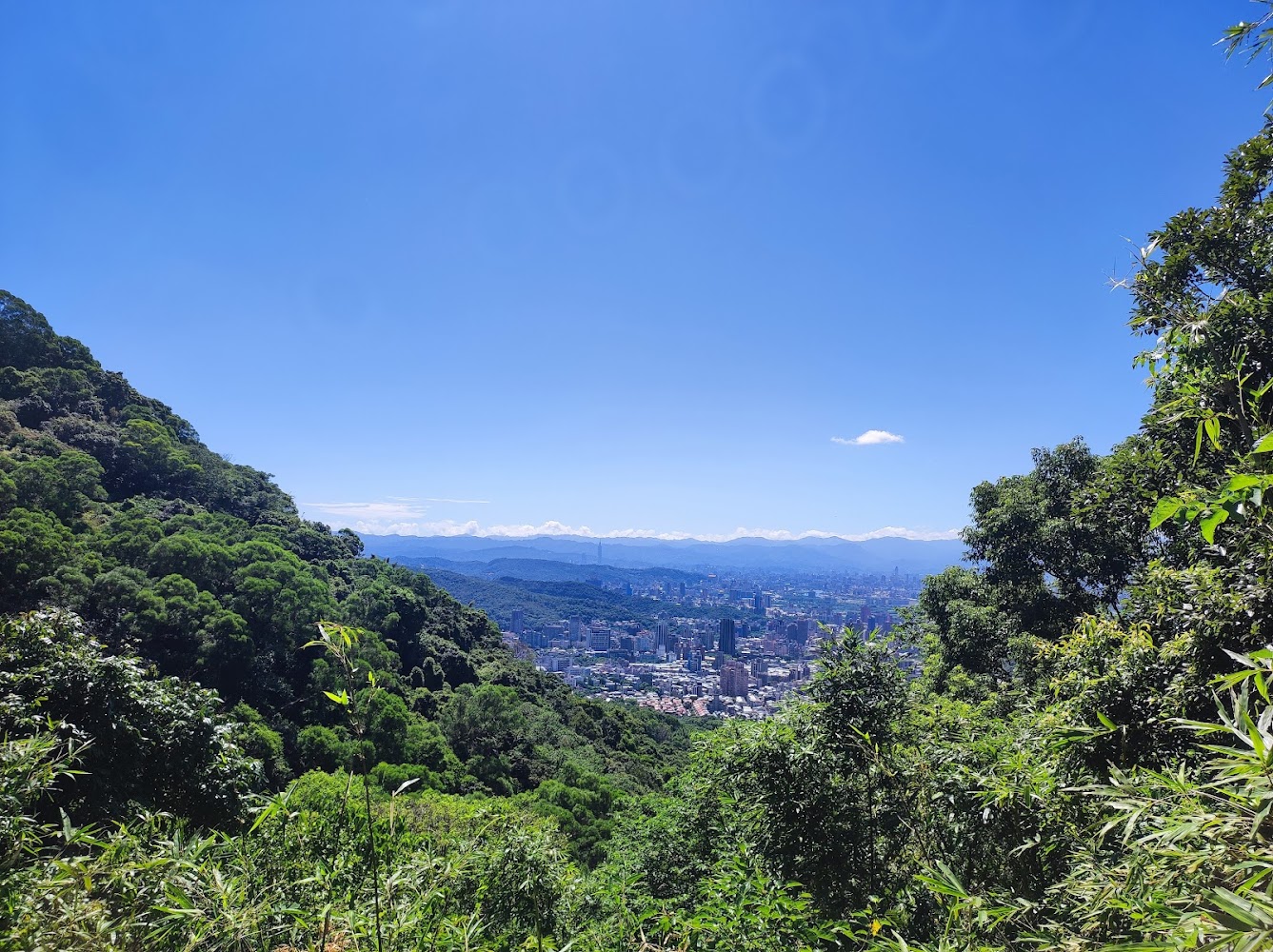 貴子坑親山步道遠望城市與藍天