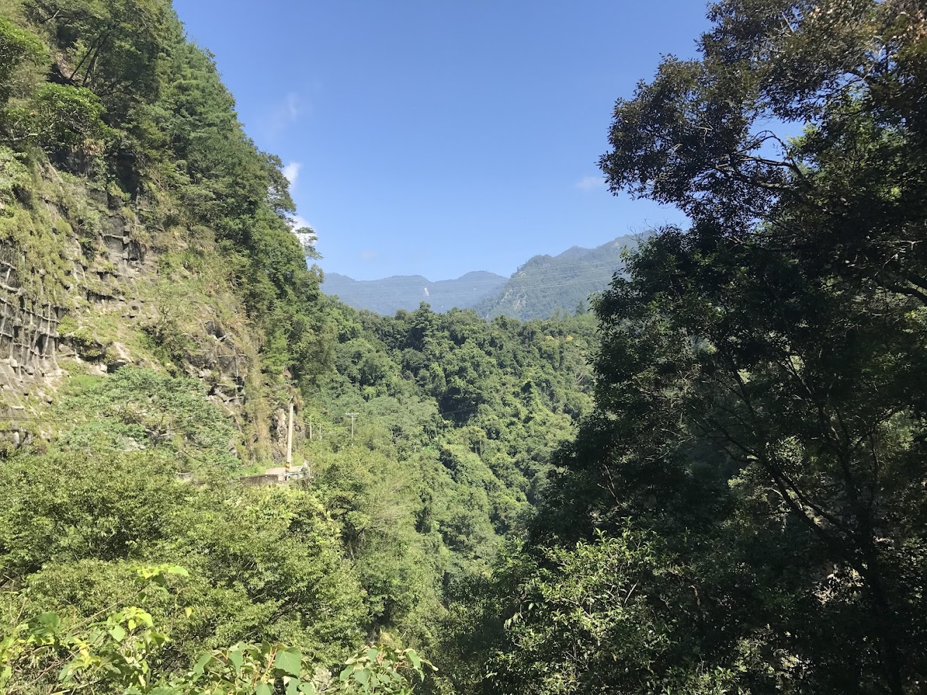 八仙山森林山巒景觀