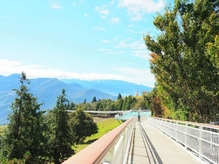 高架步道兩側是茂密樹木，遠方可見青翠山巒