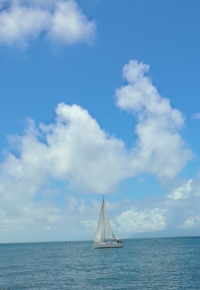 白色船隻航行在藍色海面上