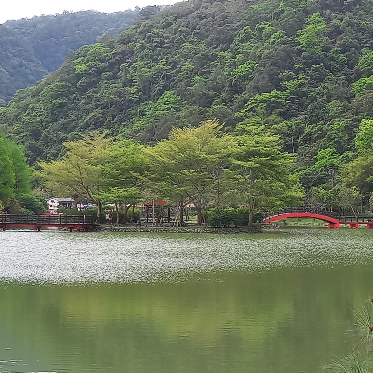 宜蘭員山望龍埤湖面遠景紅橋翡翠綠色湖水