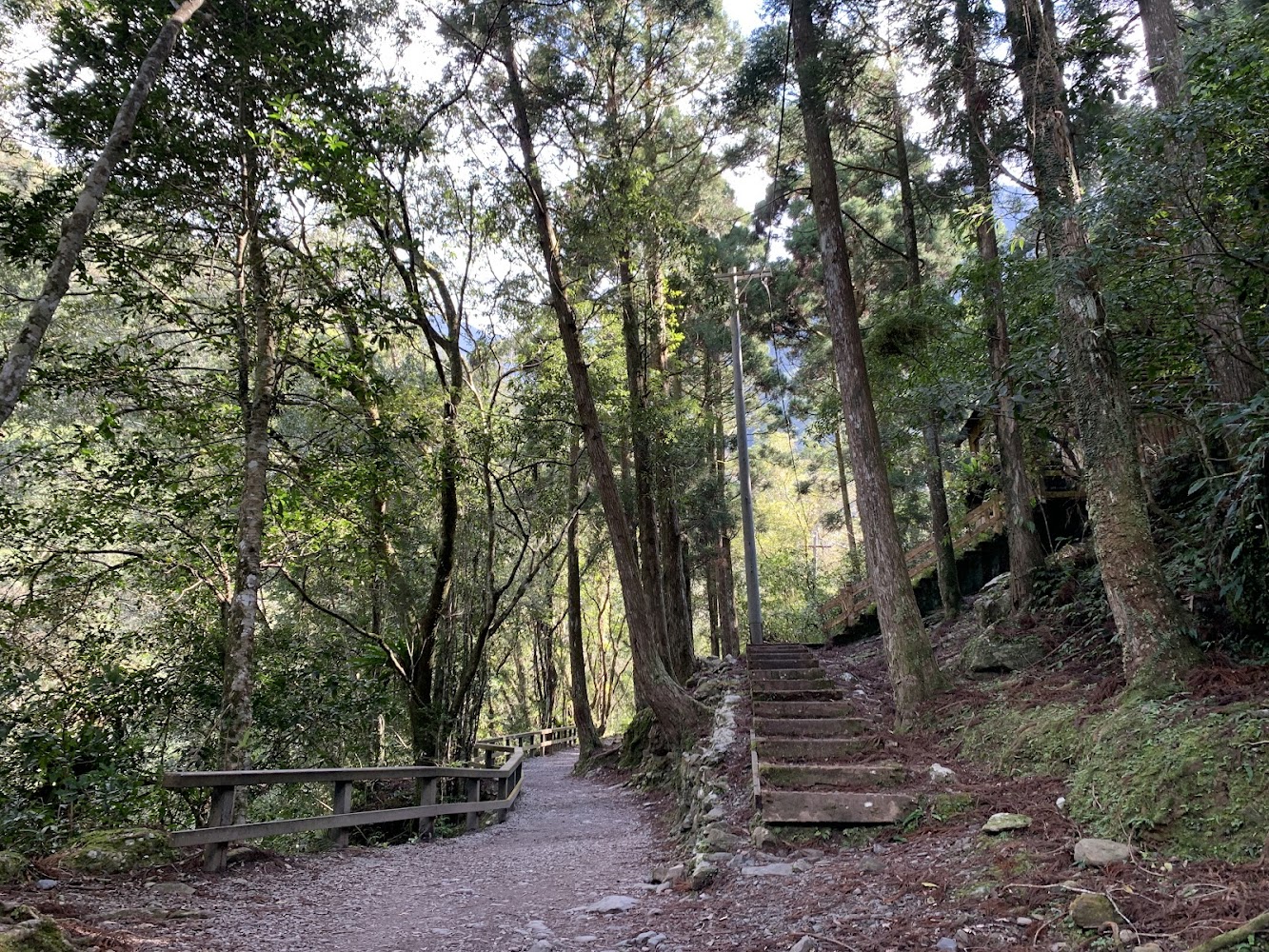 滿月圓森林步道