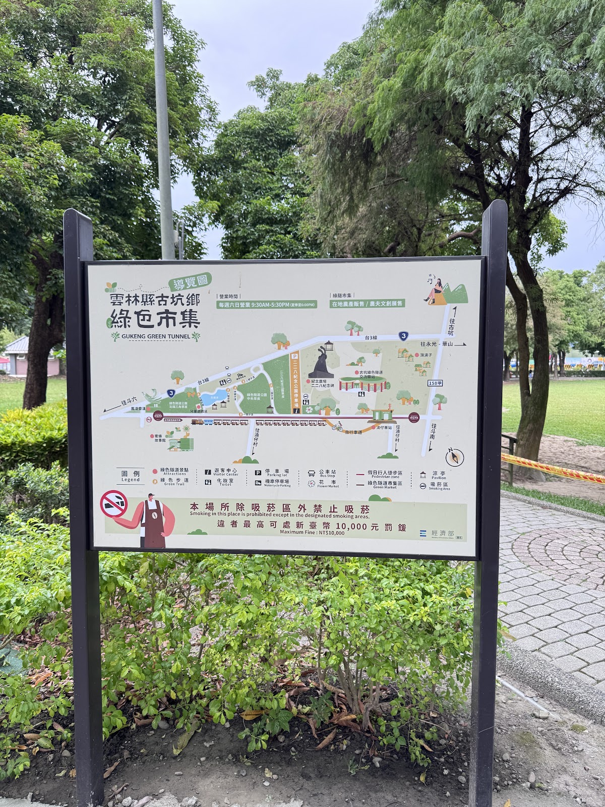 古坑綠色隧道自然景觀特寫