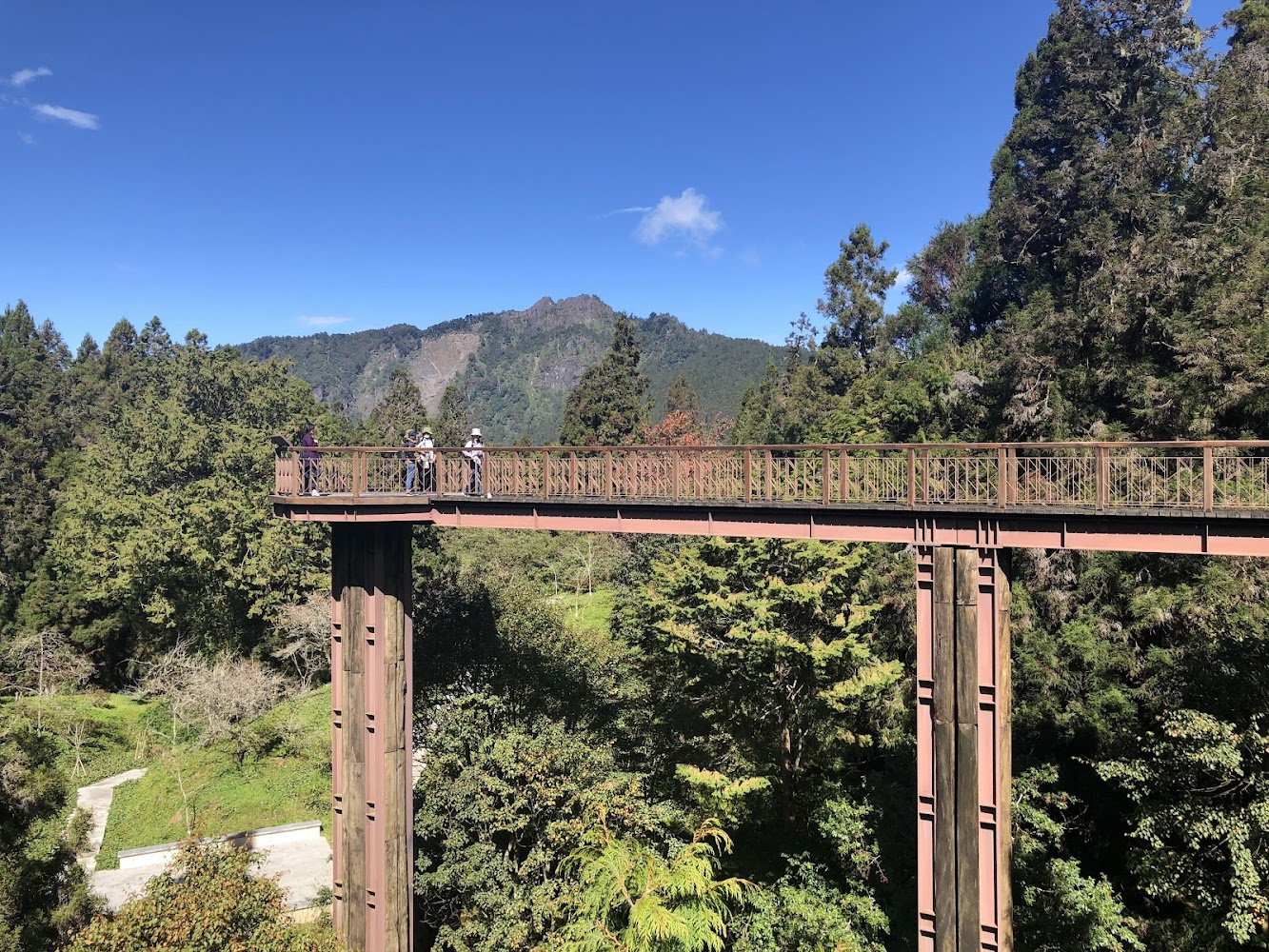 阿里山天空步道架高木棧道與山景