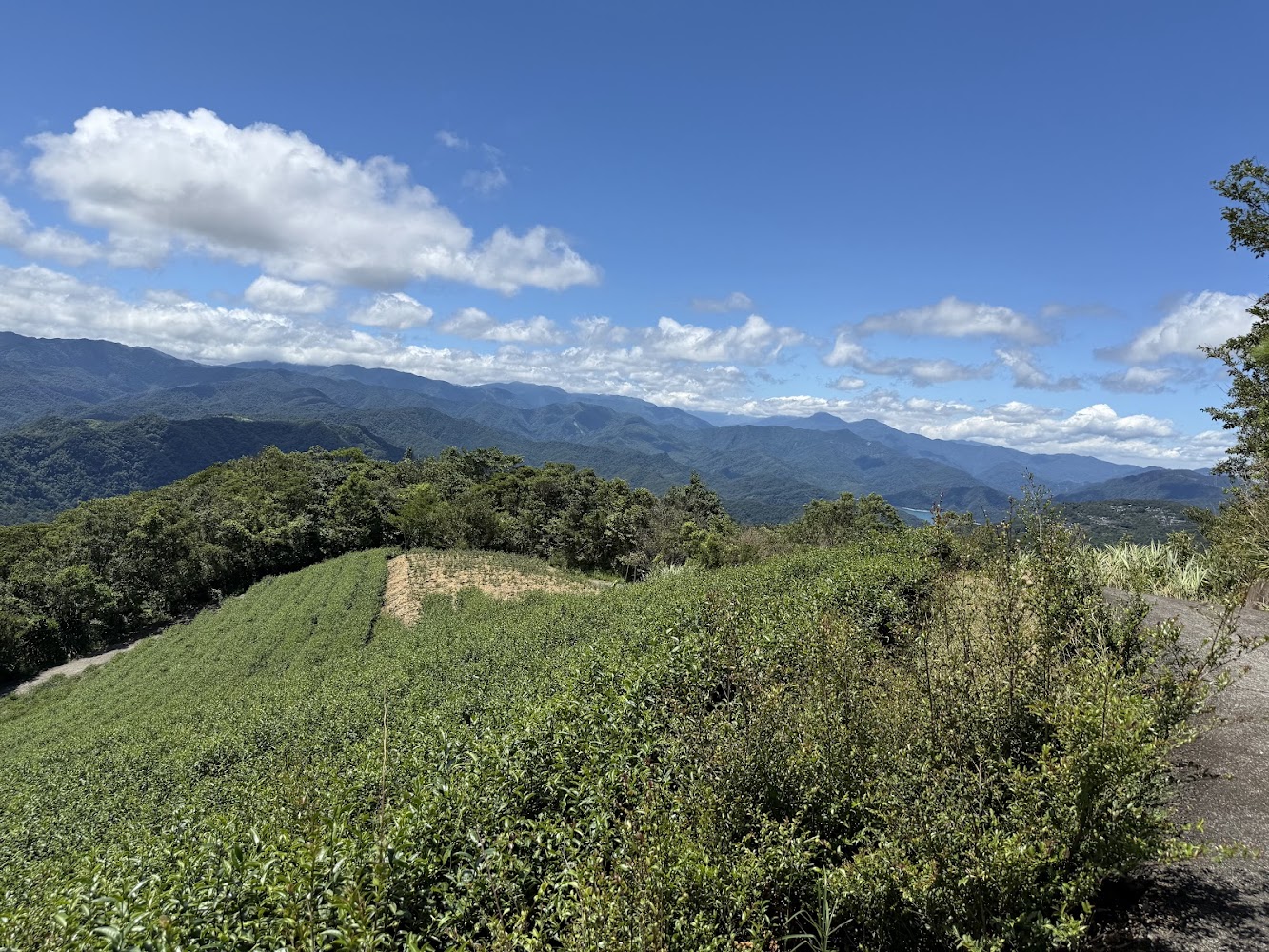 淡蘭古道南路茶園與山景