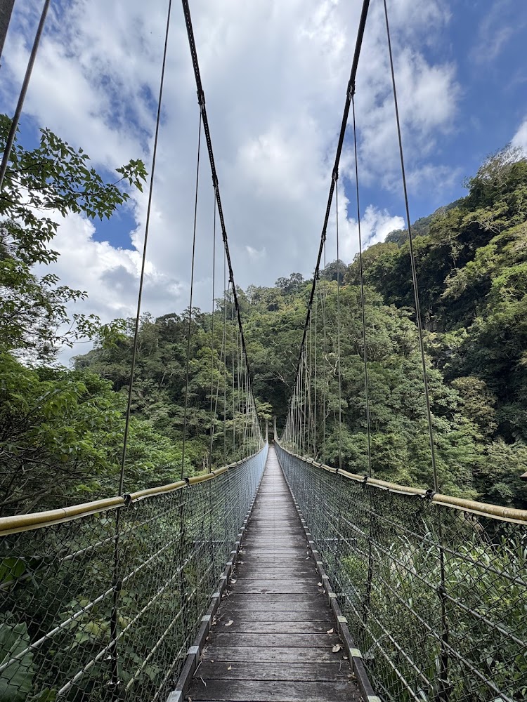 神仙谷森林吊橋步道景色