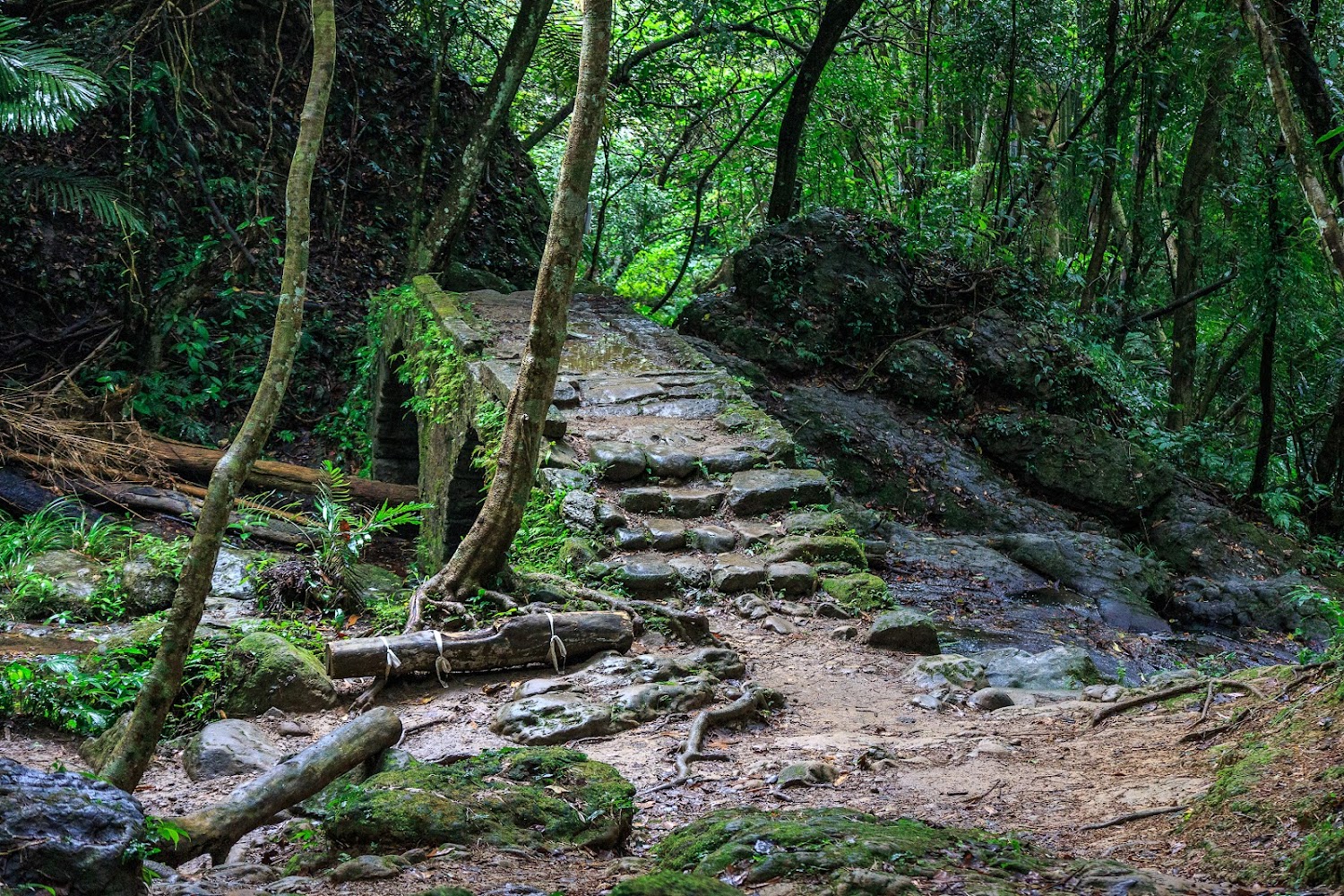 打鐵寮古道森林中另一座古石橋景觀
