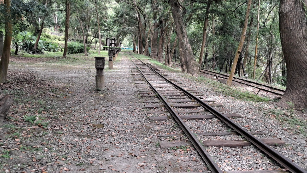 林田山林業文化園區地面鐵道軌跡樹蔭步道花蓮景點
