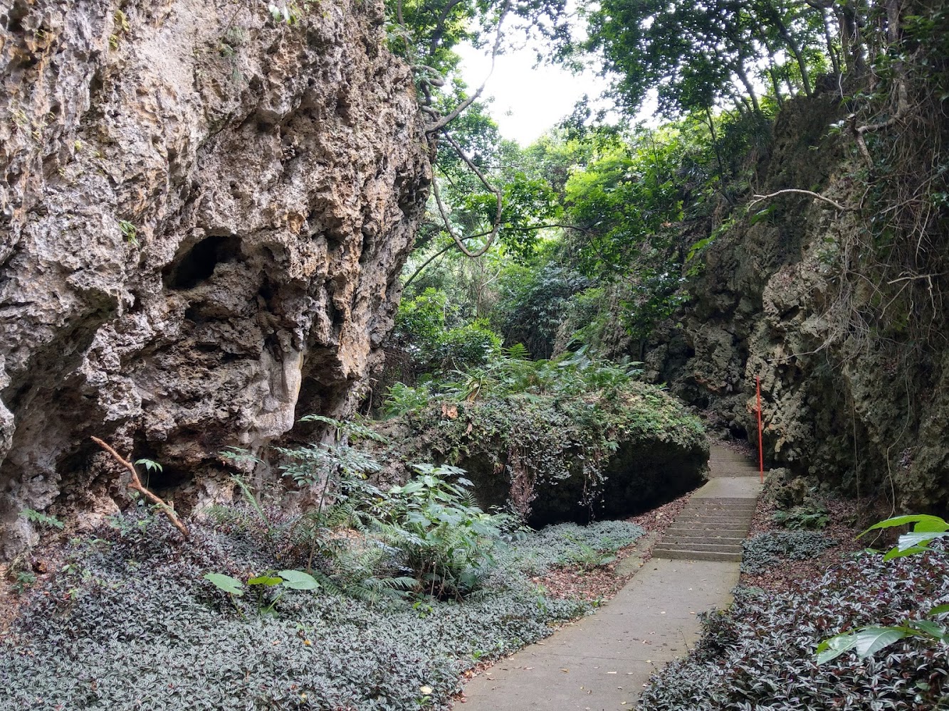 垂榕谷岩石步道與峽谷景觀