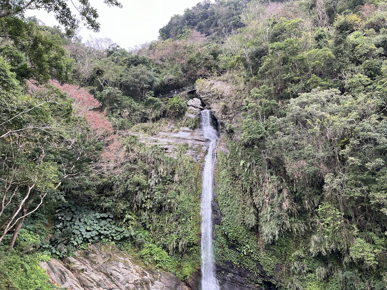 山風二號吊橋 山風瀑布 花蓮卓溪