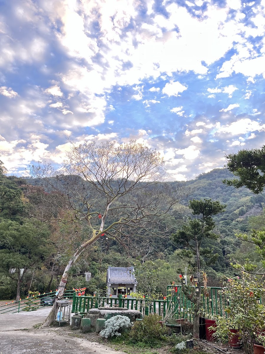 蓬萊山清水岩寺廟宇外觀,枯樹與廟宇在山林雲天背景下