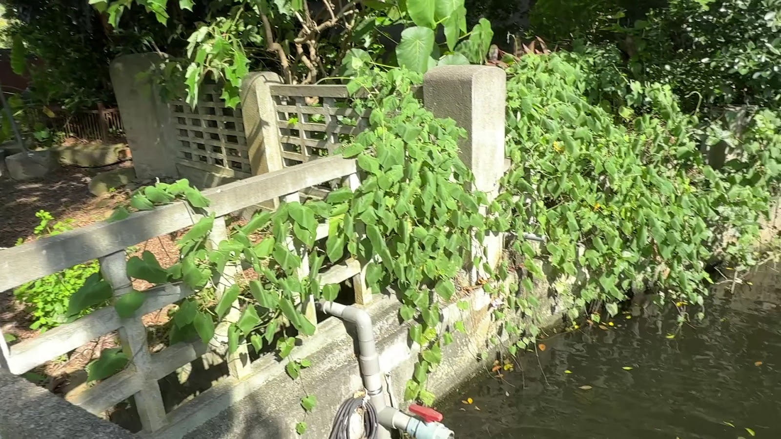 筱雲山莊護龍石牆水圳藤蔓景觀