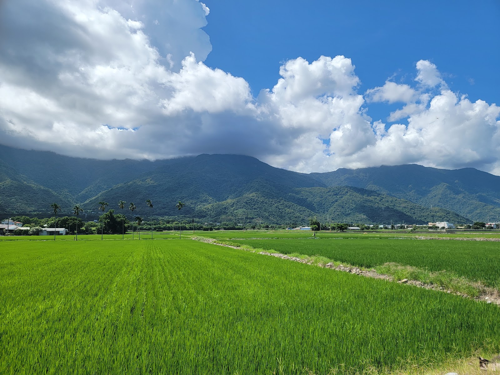 關山親水公園寬敞水岸環境