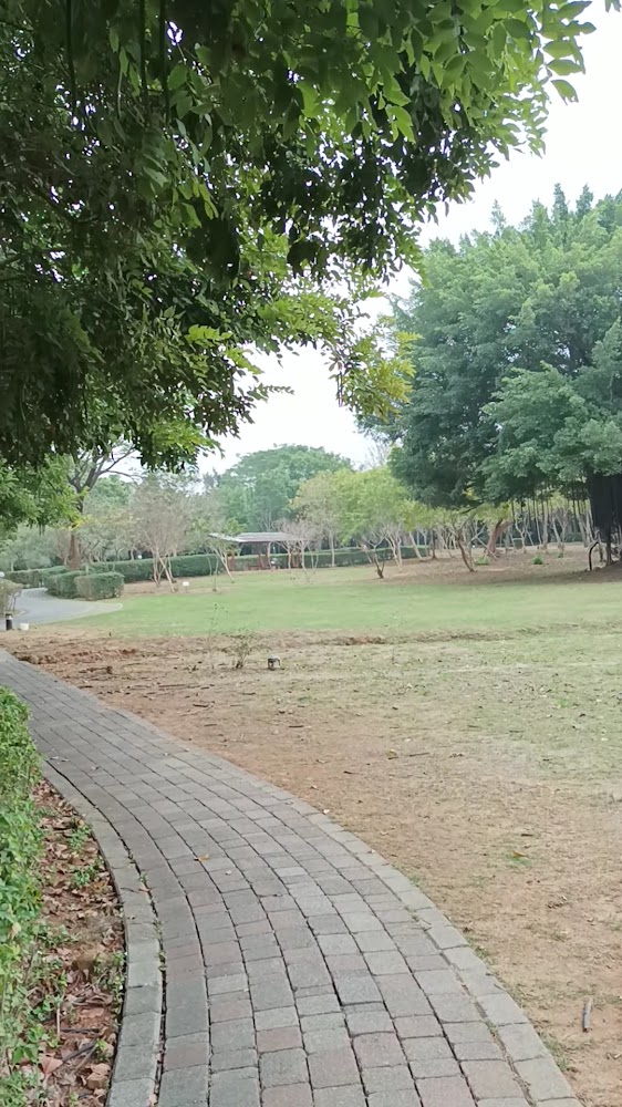 嘉義都會森林公園步道彎曲、綠地開闊，適合散步健走。