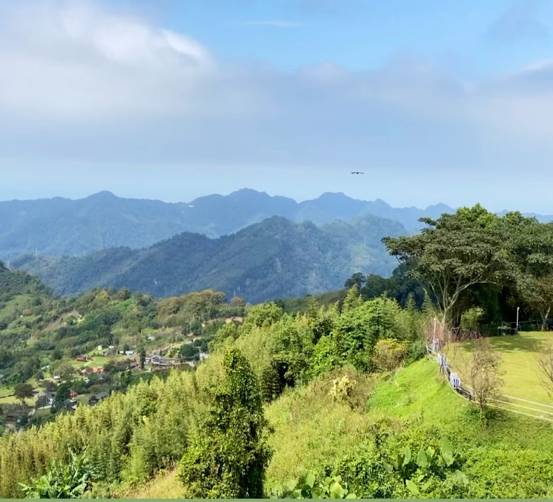 壯麗山脈景觀,前方有翠綠樹木與草地