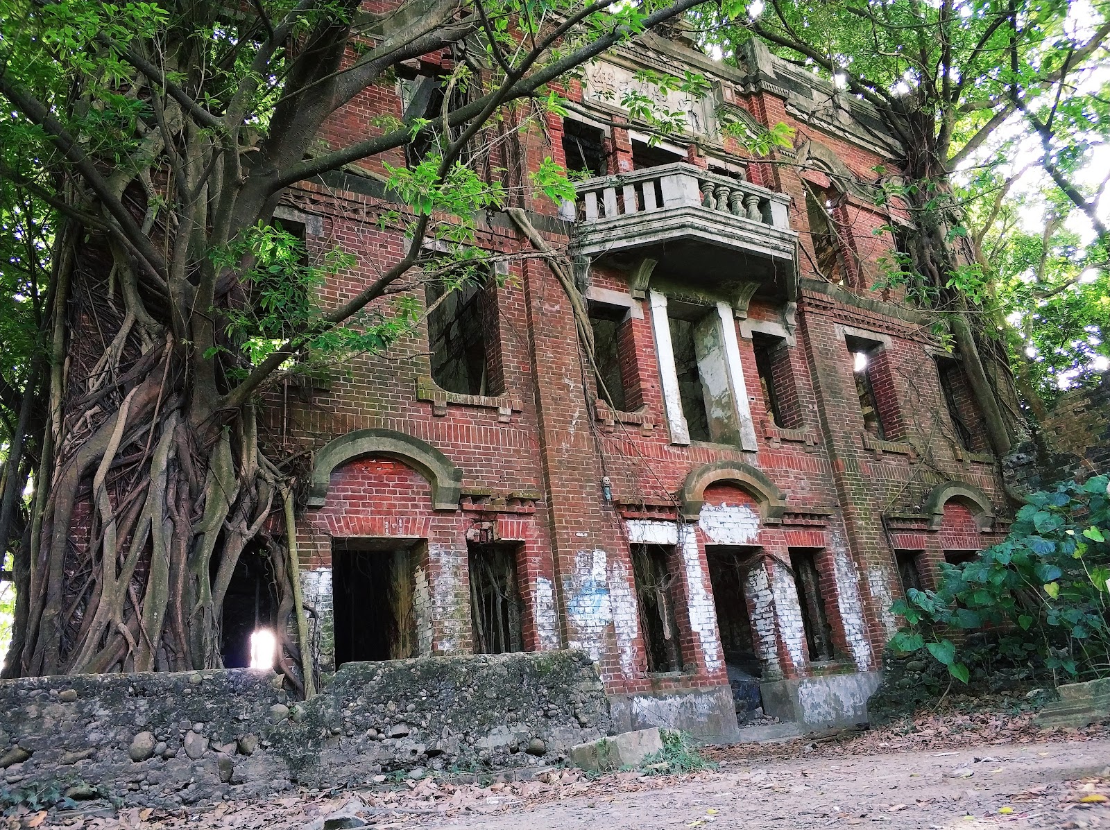 民雄鬼屋廢棄三層樓紅磚古厝，大榕樹氣根盤繞