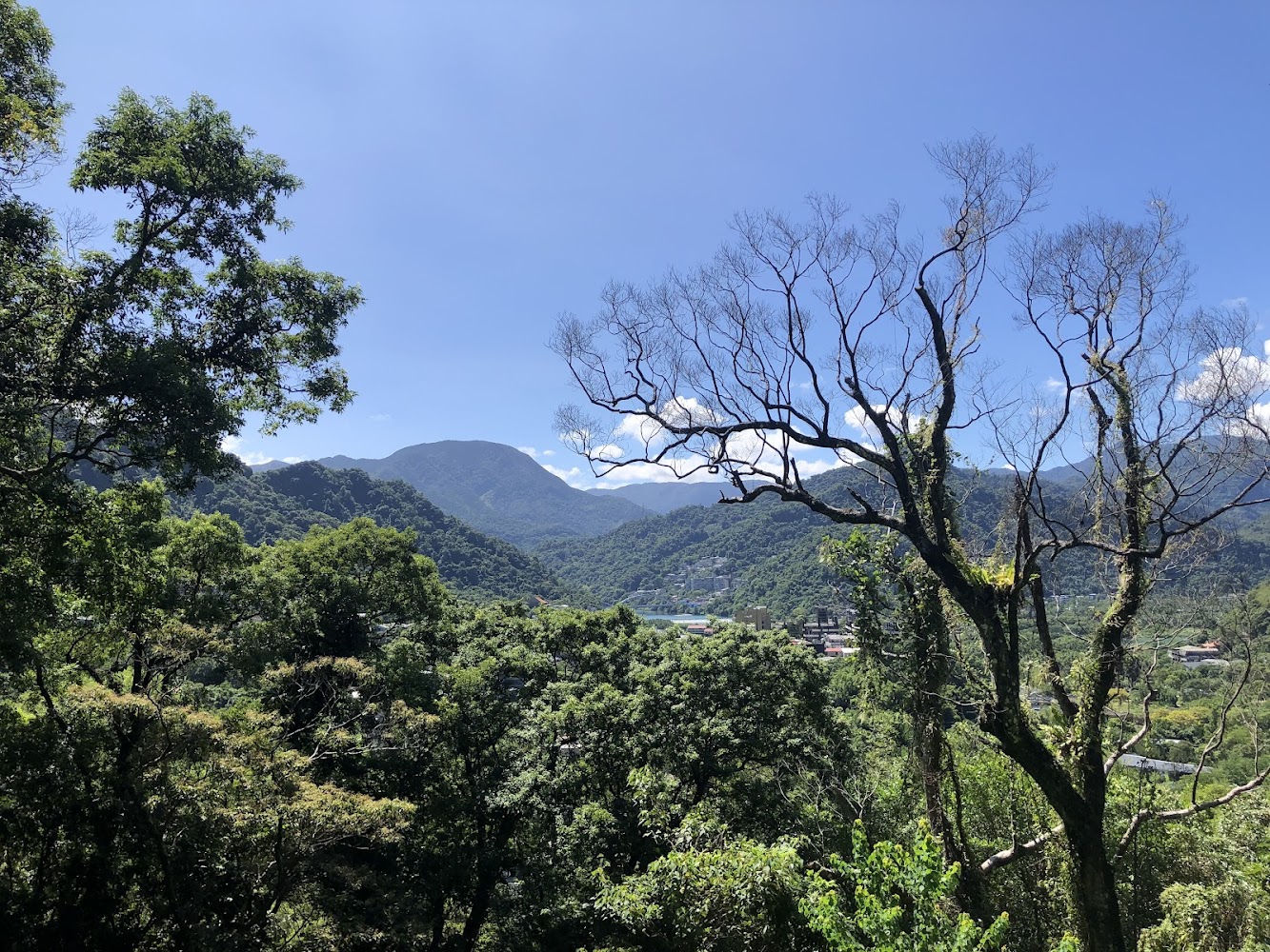 青翠山林與遠處村落景色