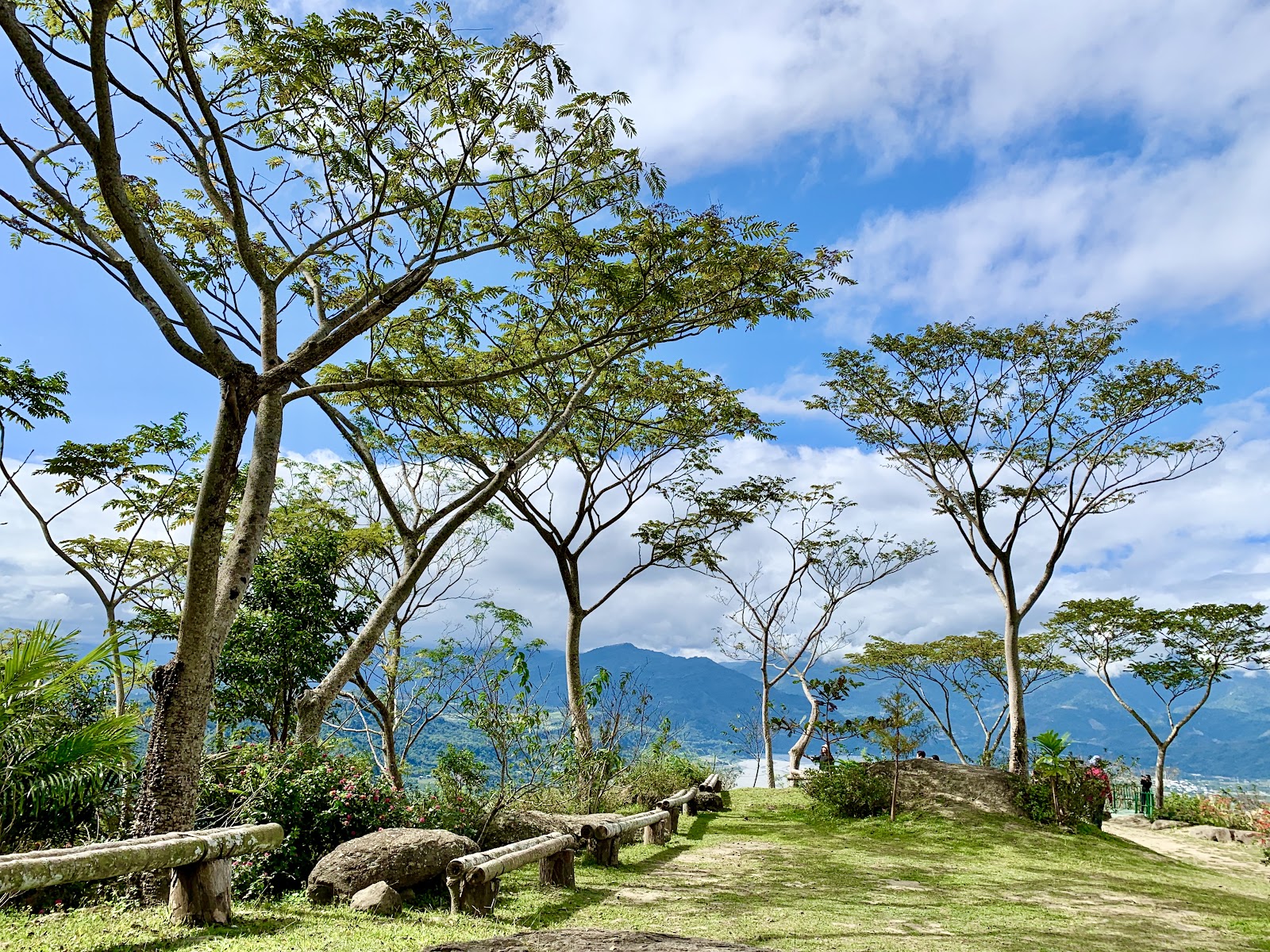 鸞山部落高地樹木眺望台東山脈景色