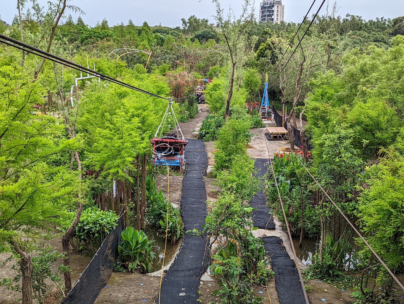 台灣地景花園戶外鋼索吊椅區