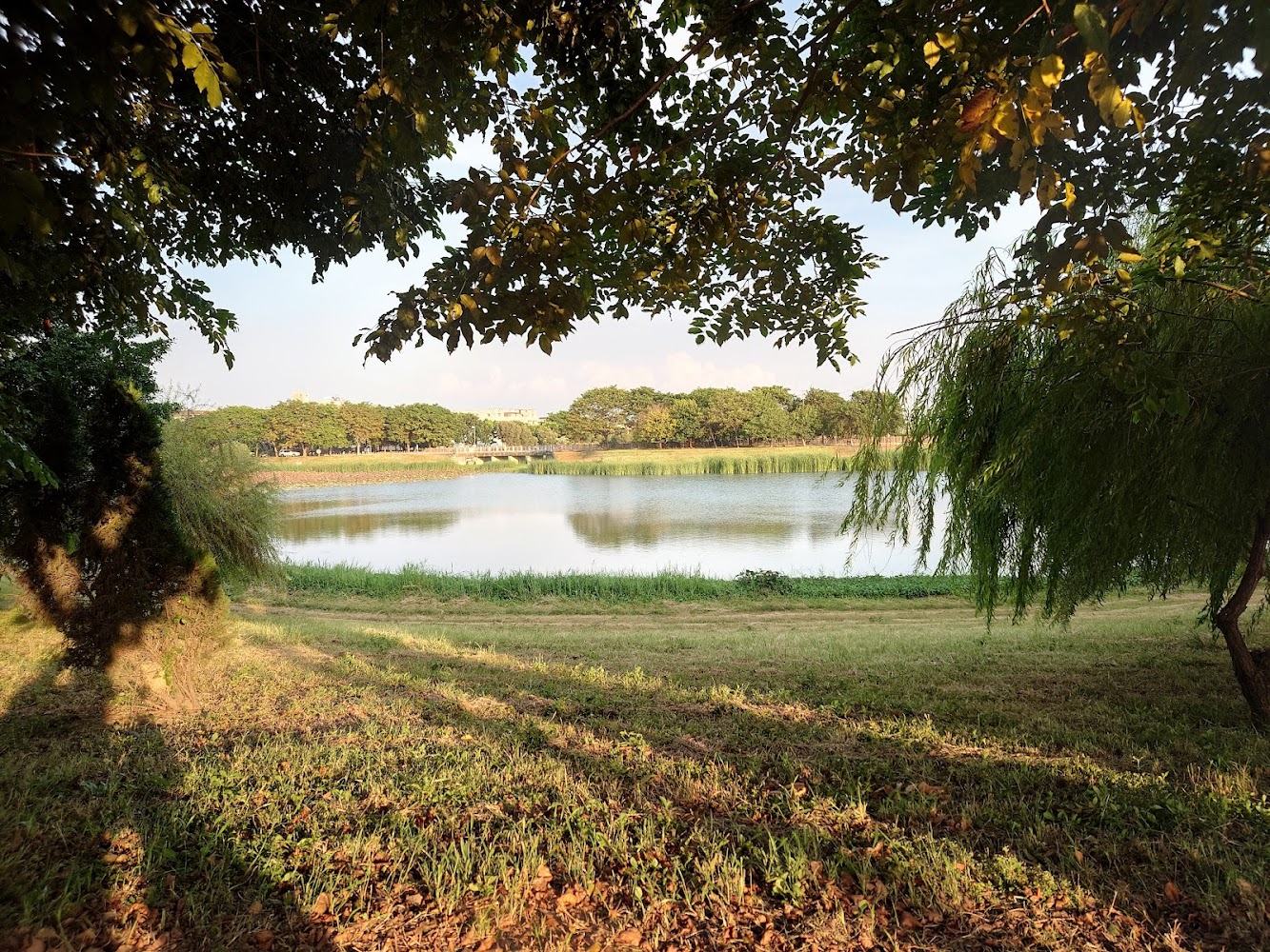 阿公店水庫湖景