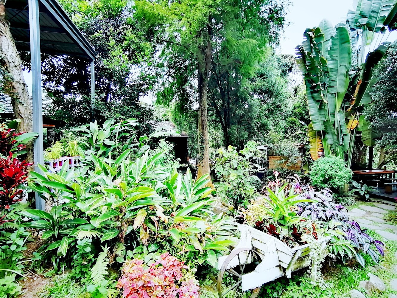 庭園植栽與白色推車花盆