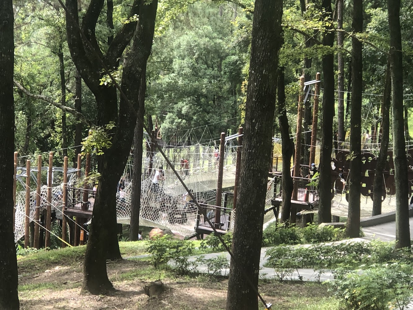 森林中的戶外繩索探險設施